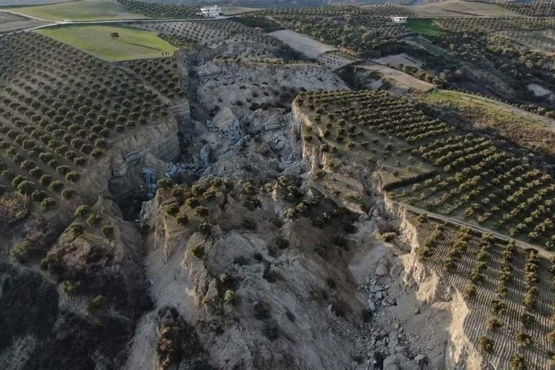 Dans la localité d’Hatay, en Turquie, une faille de 30 m de profondeur et jusqu'à 200 m de largeur s’est formée, coupant en deux un énorme champ d’oliviers.