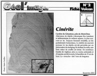 Cinérites, Carrière du Génestoux, Mont-Dore Insecte fossile